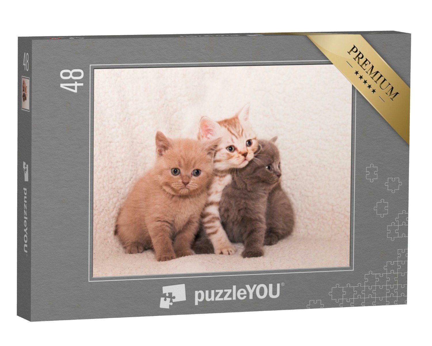 puzzleYOU Puzzle Drei süße Kätzchen auf einem weißen Plaid, 48 Puzzleteile, puzzleYOU-Kollektionen Katzen-Puzzles