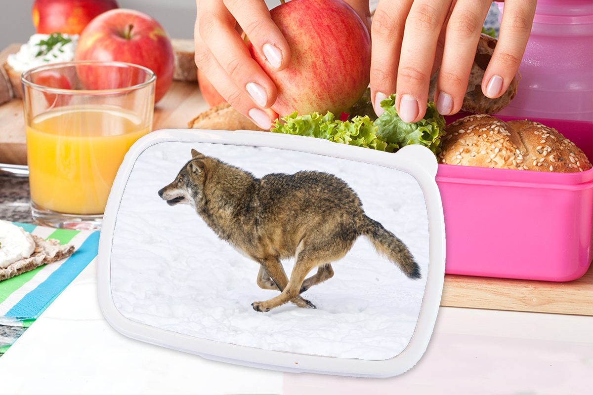MuchoWow Lunchbox Wolf Snackbox, Kinder, Brotdose Erwachsene, (2-tlg), - Mädchen, für Brotbox Kunststoff, - Kunststoff Kälte, rosa Schnee