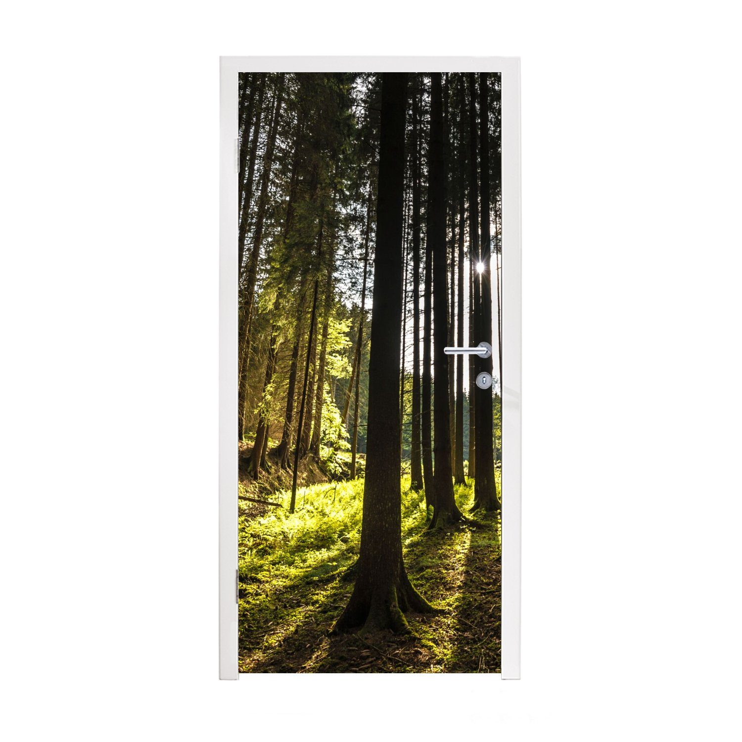 MuchoWow Türtapete Baum - Natur - Sonne - Wald, Matt, bedruckt, (1 St), Fototapete für Tür, Türaufkleber, 75x205 cm