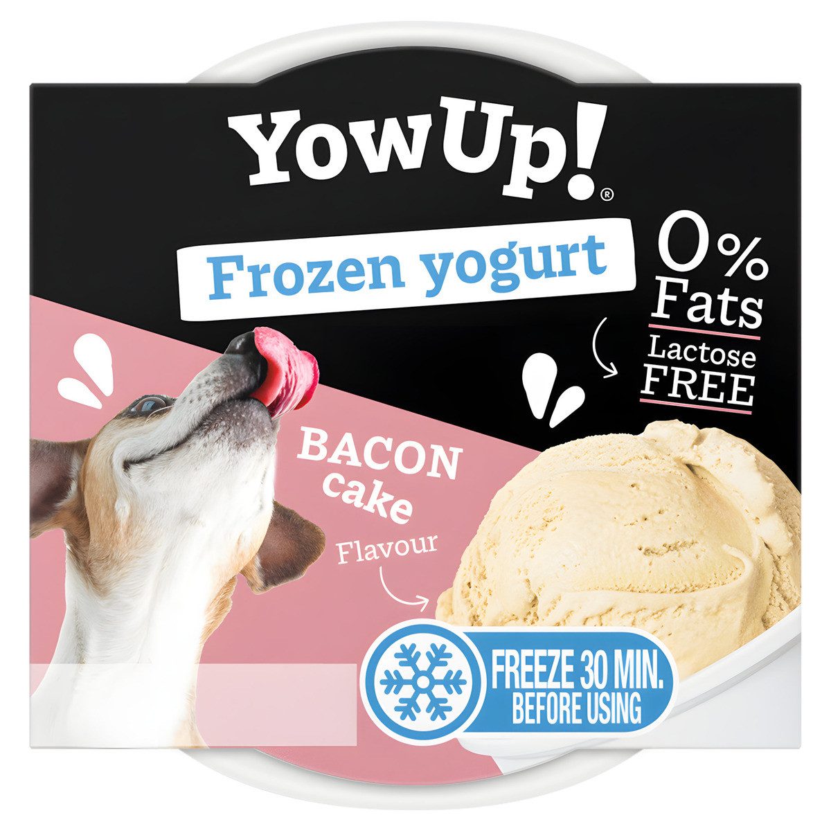 Holland Animal Care Hundesnack Frozen Yoghurt Bacon Kuchen 110 g, Snack für: Hund