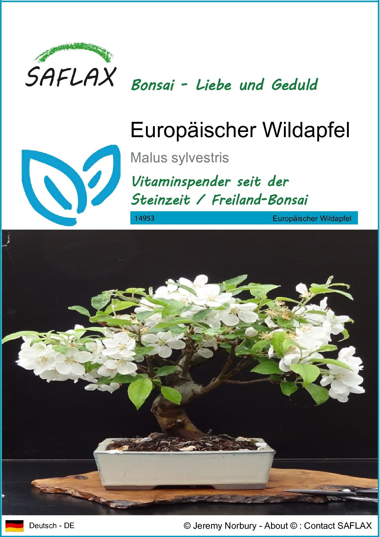 Blumensamen SAFLAX - Samen - Europäischer Wildapfel