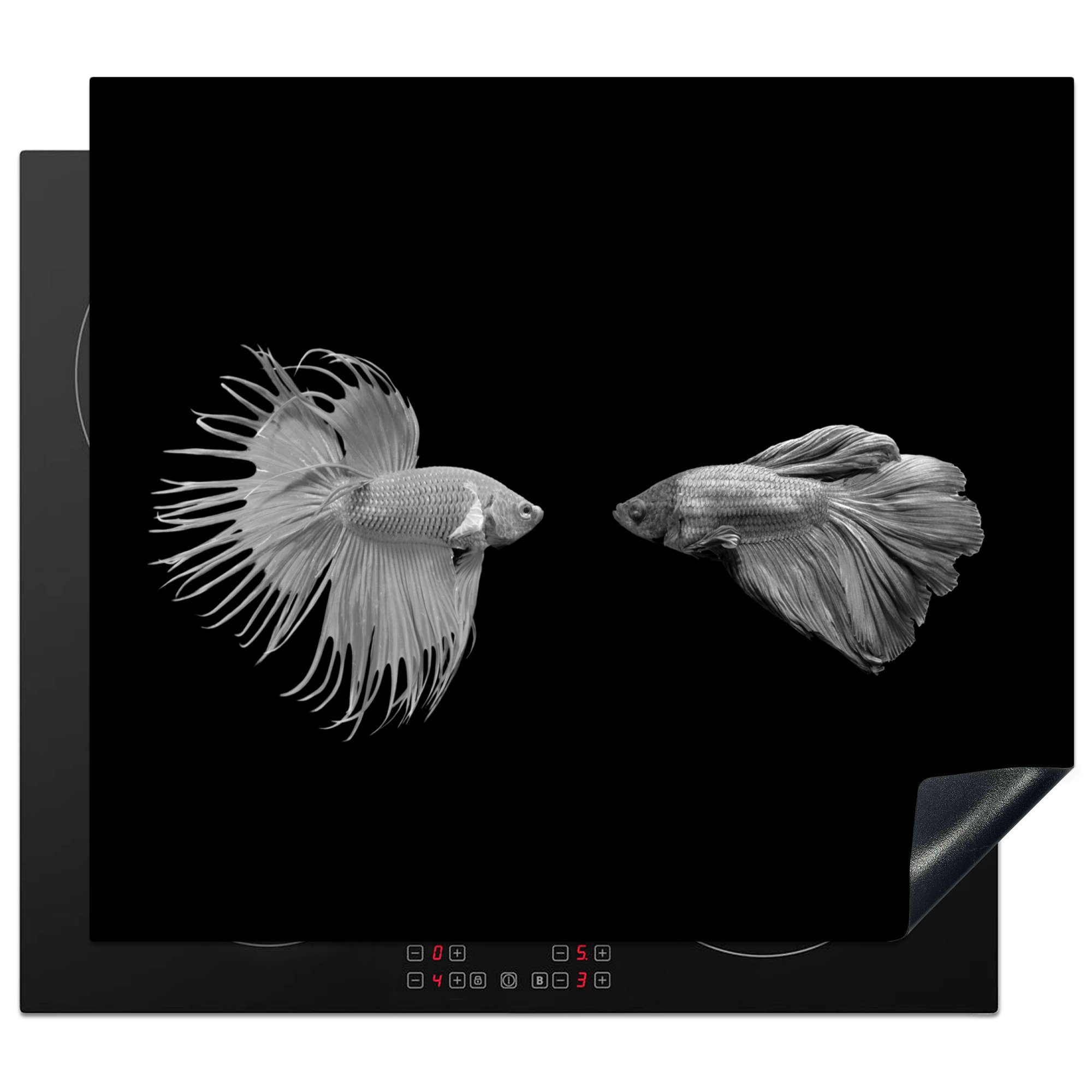 Siamesische MuchoWow Hintergrund (1 Vinyl, cm, Ceranfeldabdeckung Fische 60x52 Arbeitsfläche schwarzem Herdblende-/Abdeckplatte kämpfen Zwei tlg), auf Mobile -, nutzbar,