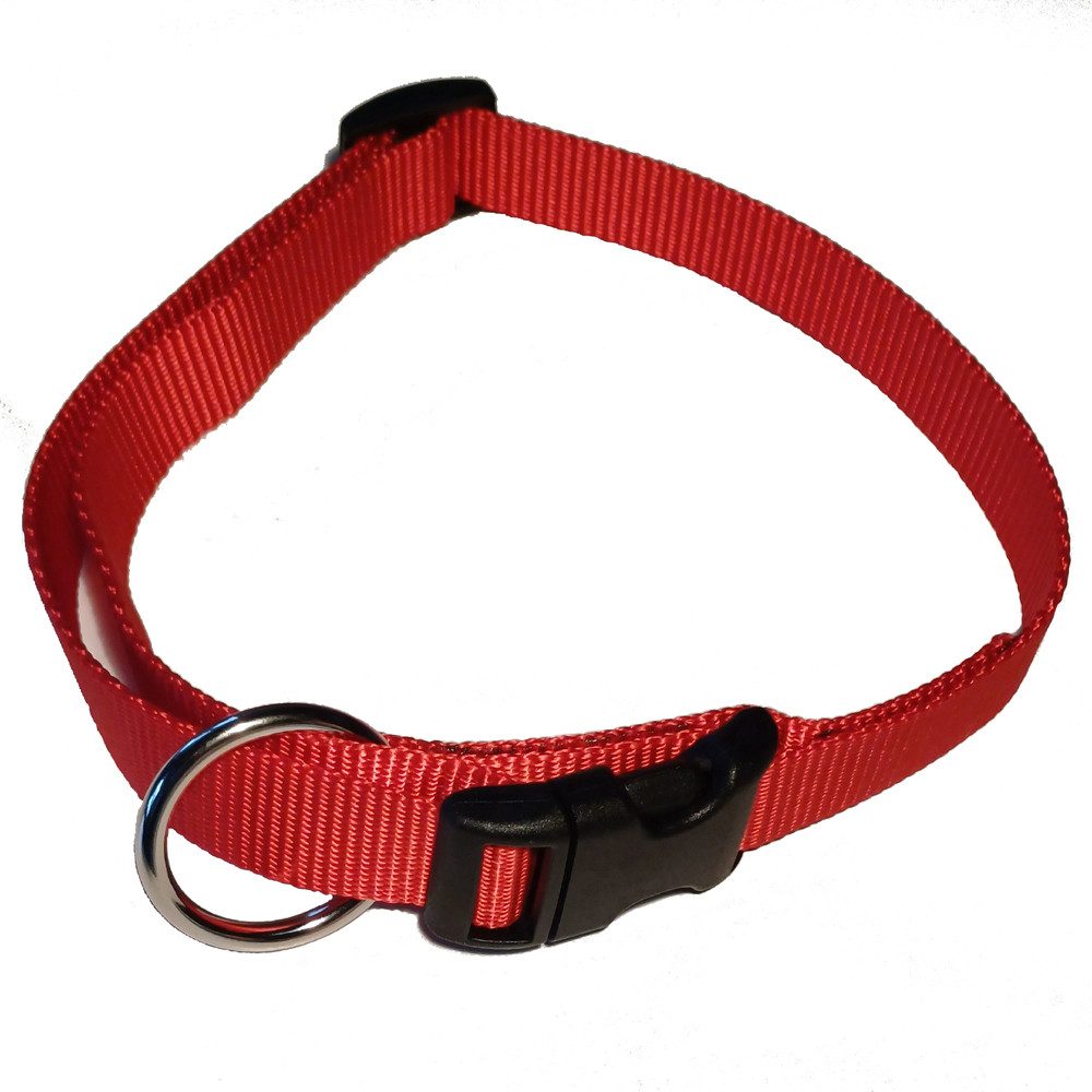 Activity4Dogs Hunde-Halsband große Hunde Nylon verstellbar 38-55 cm verschiedene Farben, mitwachsend