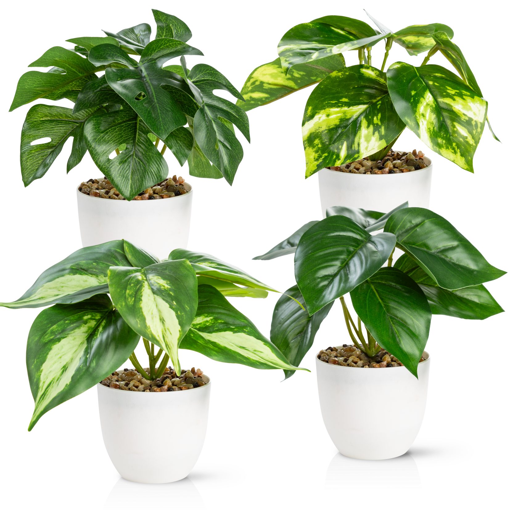 Künstliche Zimmerpflanze Kleine Kunstpflanzen & Künstliche Sukkulenten wie günstig online kaufen