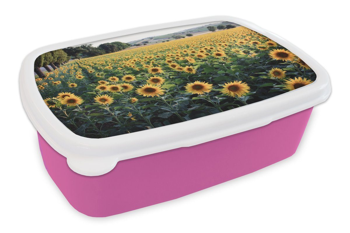 Brotbox für Kunststoff, Frühling, - Kunststoff Hügel MuchoWow Brotdose (2-tlg), Lunchbox Snackbox, Sonnenblume Kinder, - Erwachsene, Mädchen, rosa