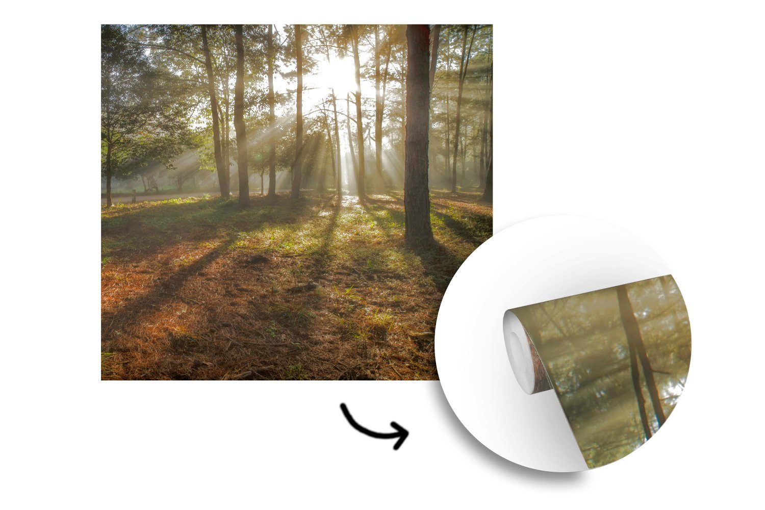Sonne Wald Schlafzimmer, - Nebel, für Wohnzimmer St), Fototapete (5 Tapete oder Wandtapete Vinyl bedruckt, - MuchoWow Matt,