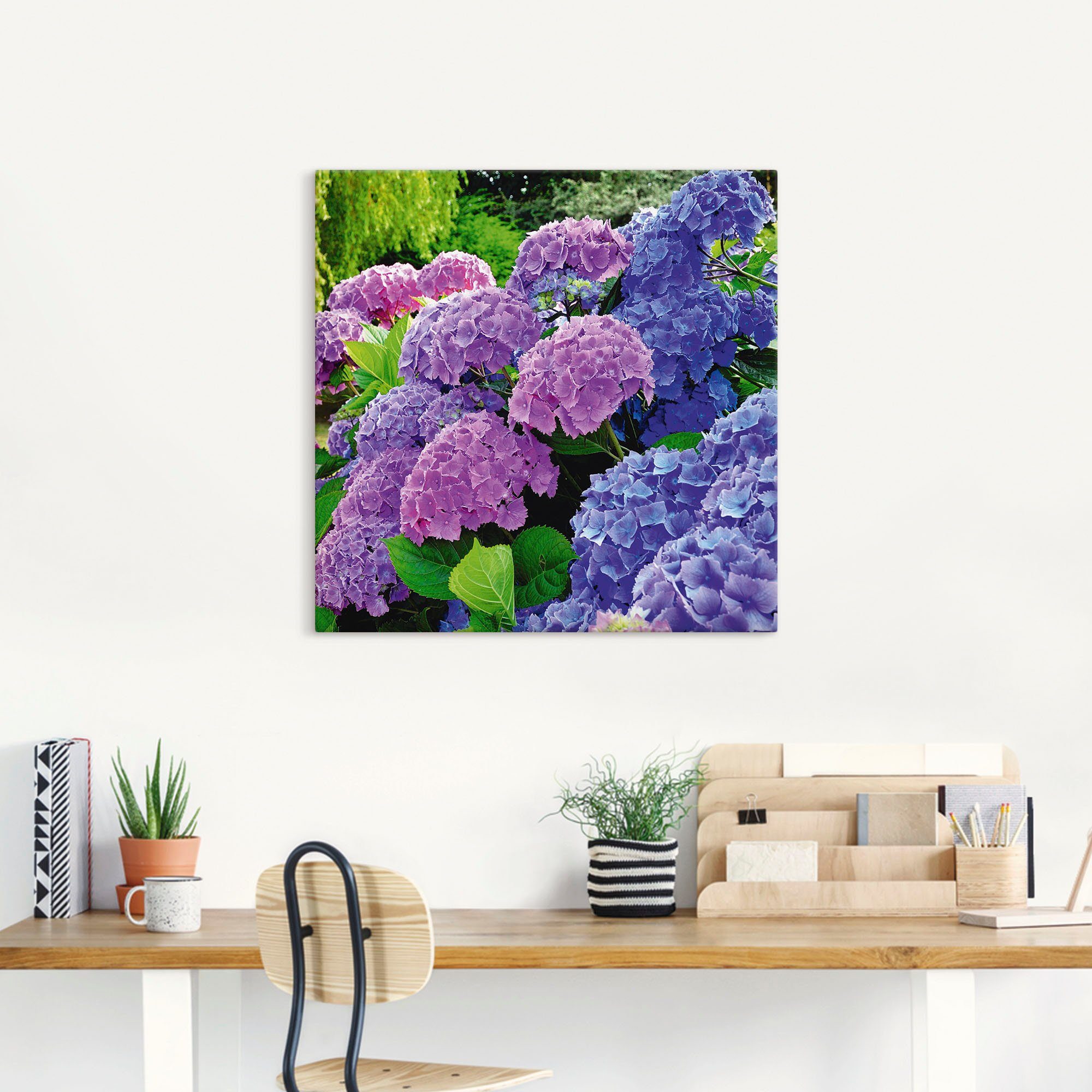 Artland Wandbild Hortensien im Garten, Blumen (1 St), als Alubild, Leinwandbild, Poster in verschied. Größen