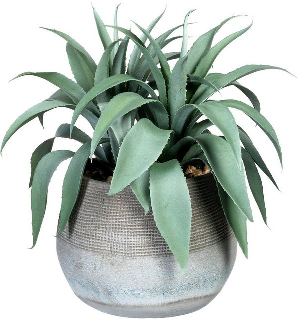 Künstliche Zimmerpflanze »Agave« Agave, Creativ green, Höhe 35 cm, im Zementtopf-Otto