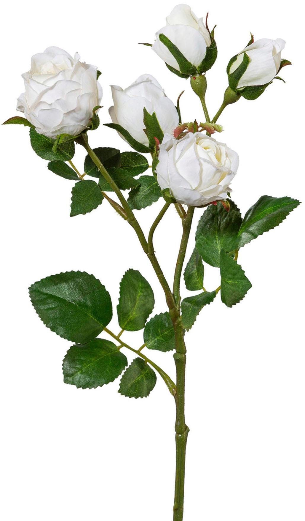 Kunstblume, Creativ green, Höhe 39 cm, 4er Set günstig online kaufen