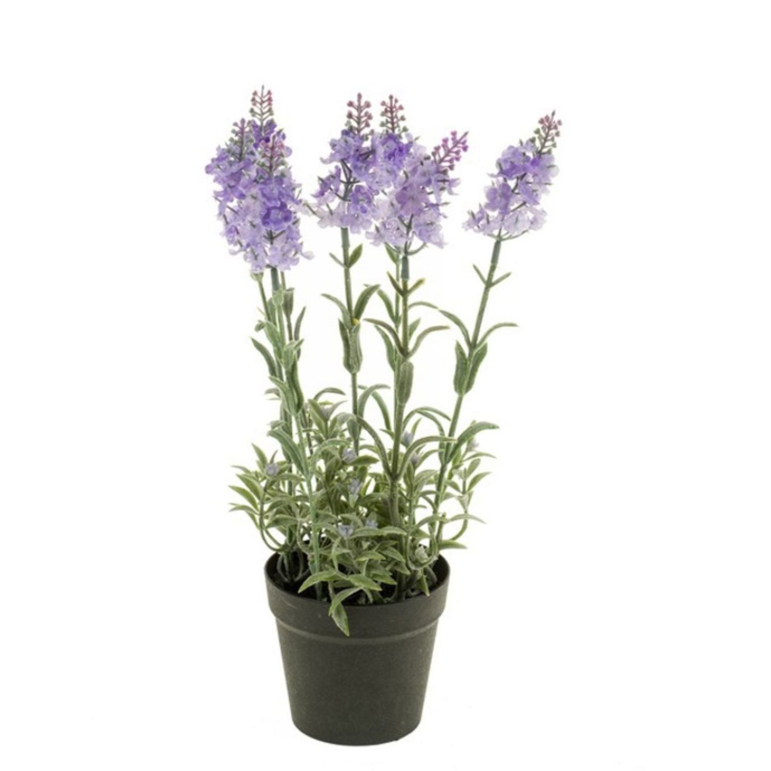 Künstliche Zimmerpflanze Topfpflanze Lavendel, Emerald, Höhe 28 cm, Im Topf, Lila, Lavendel, H: 28cm