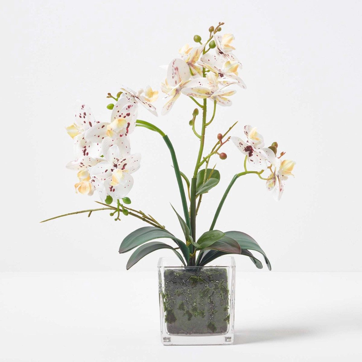 Kunstorchidee Künstliche weiße Phalaenopsis-Orchidee im Glas-Topf, 42 cm, Homescapes, Höhe 42 cm