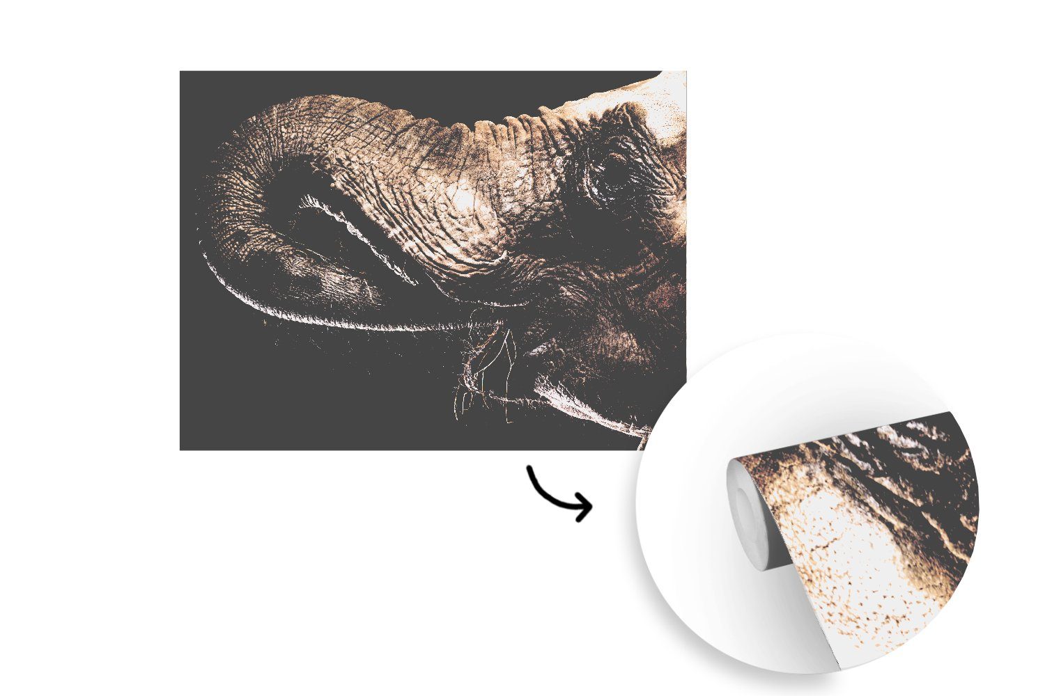 MuchoWow Fototapete Elefant - (6 Tapete Schwarz Kinderzimmer, Schlafzimmer, - bedruckt, Wallpaper Tiere Matt, für Wohnzimmer, St), - Natur, Vinyl