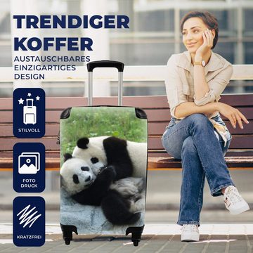 MuchoWow Handgepäckkoffer Pandas - Gras - Stein, 4 Rollen, Reisetasche mit rollen, Handgepäck für Ferien, Trolley, Reisekoffer