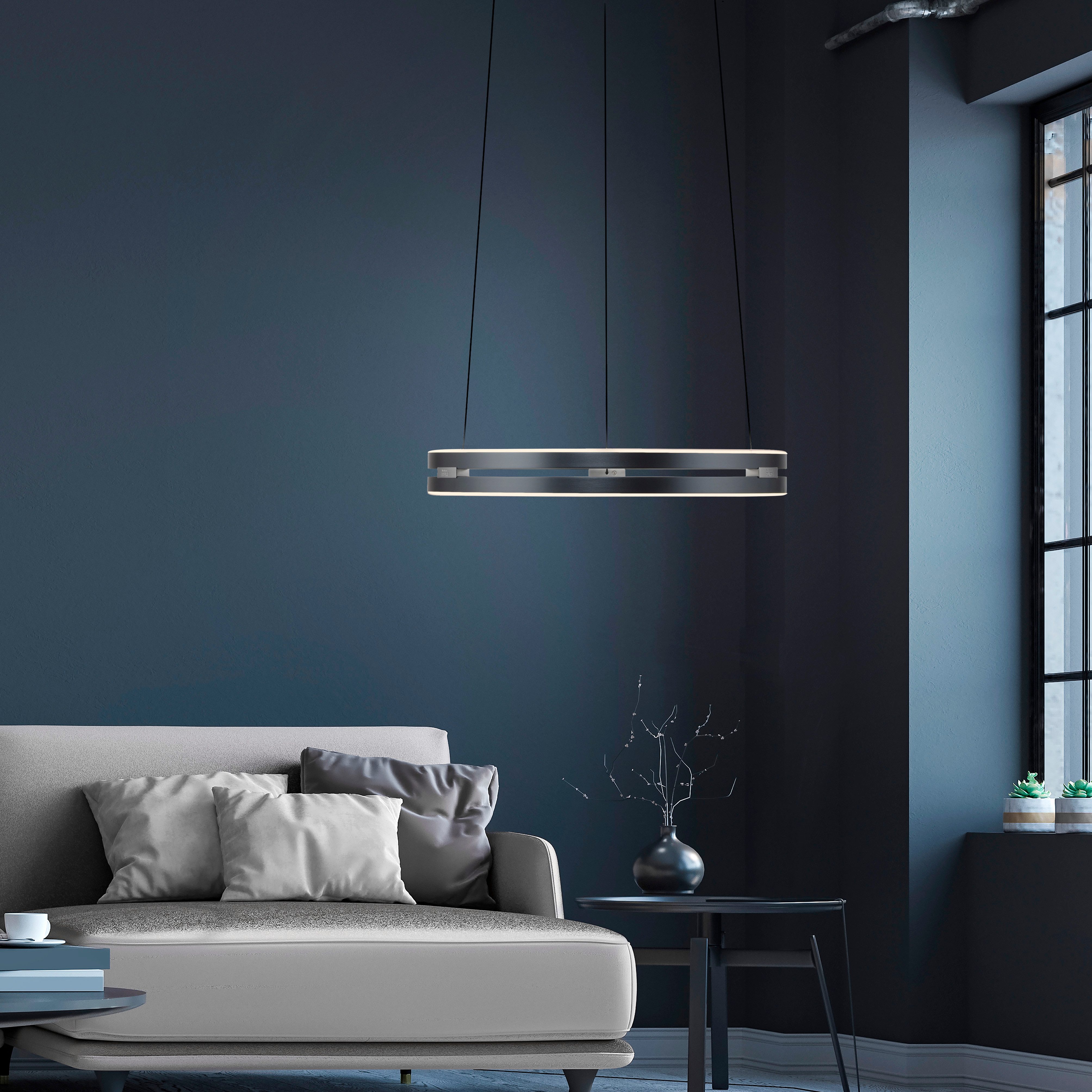 Neuhaus PURE LED Pendelleuchte PURE E-Loop, CCT - über Fernbedienung, LED fest integriert, warmweiß - kaltweiß, e-LIFT® Funktion, CCT, dimmbar über Fernbedienung