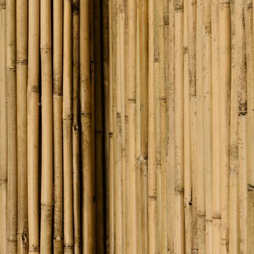 Sol Royal Balkonsichtschutz B38 Sichtschutz Balkonsichtschutz Bambus