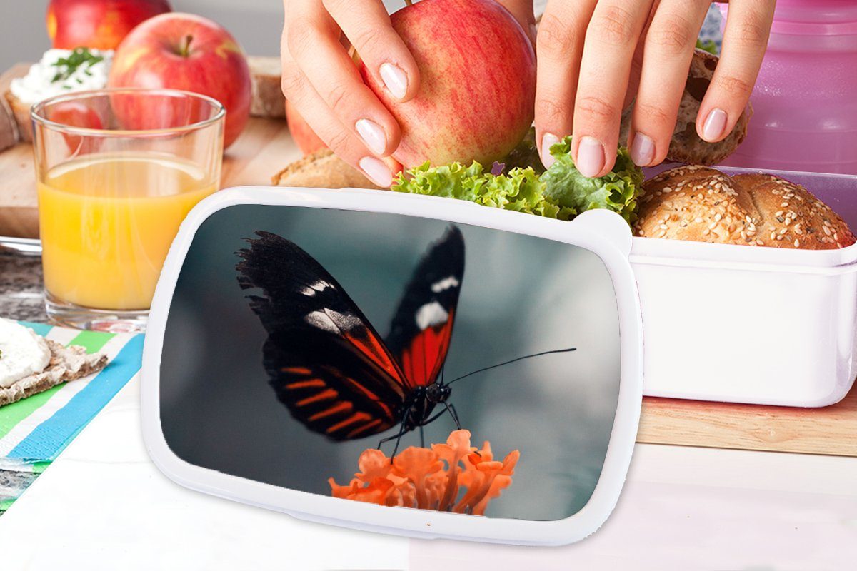 Schmetterling und und Blume - Mädchen (2-tlg), MuchoWow Kinder Insekt, weiß - Kunststoff, für Erwachsene, Lunchbox Brotdose, Brotbox Jungs für