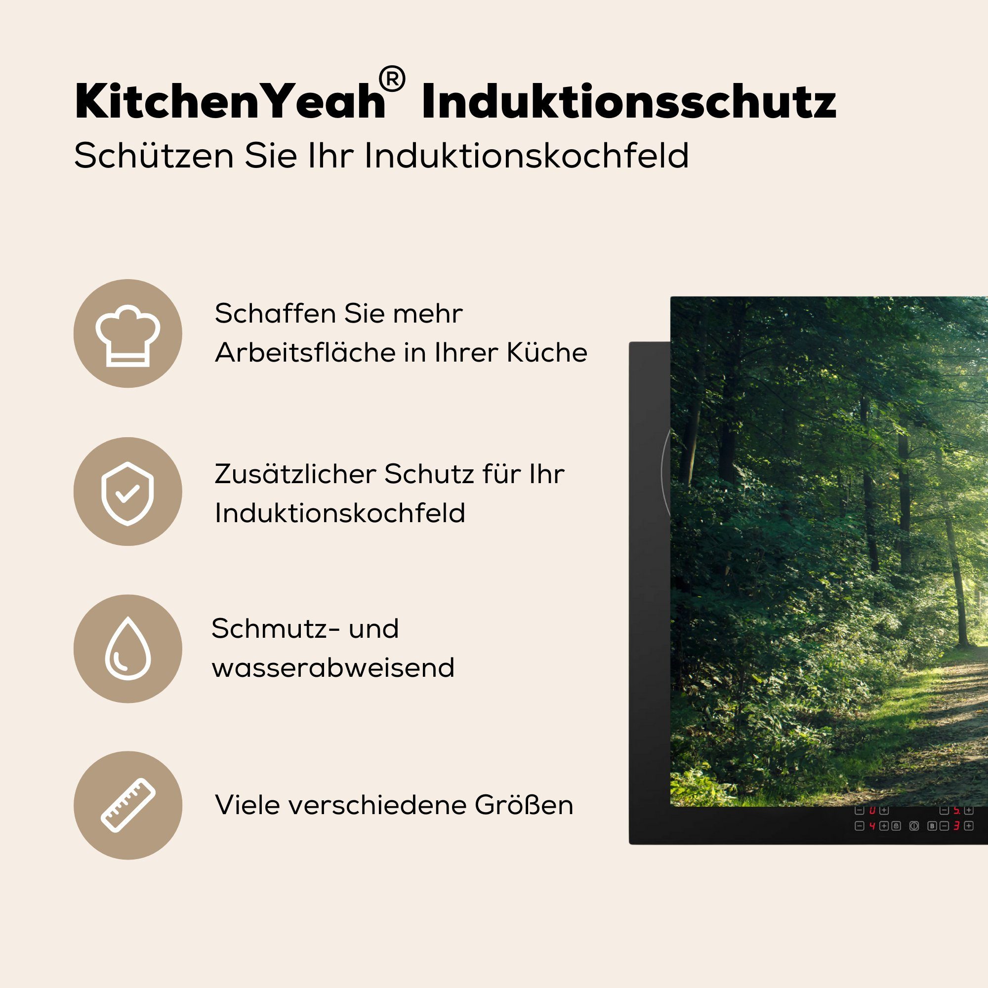 tlg), (1 Induktionskochfeld Vinyl, 81x52 Herdblende-/Abdeckplatte - küche, - Schutz Weg, MuchoWow cm, Licht für Ceranfeldabdeckung Wald die