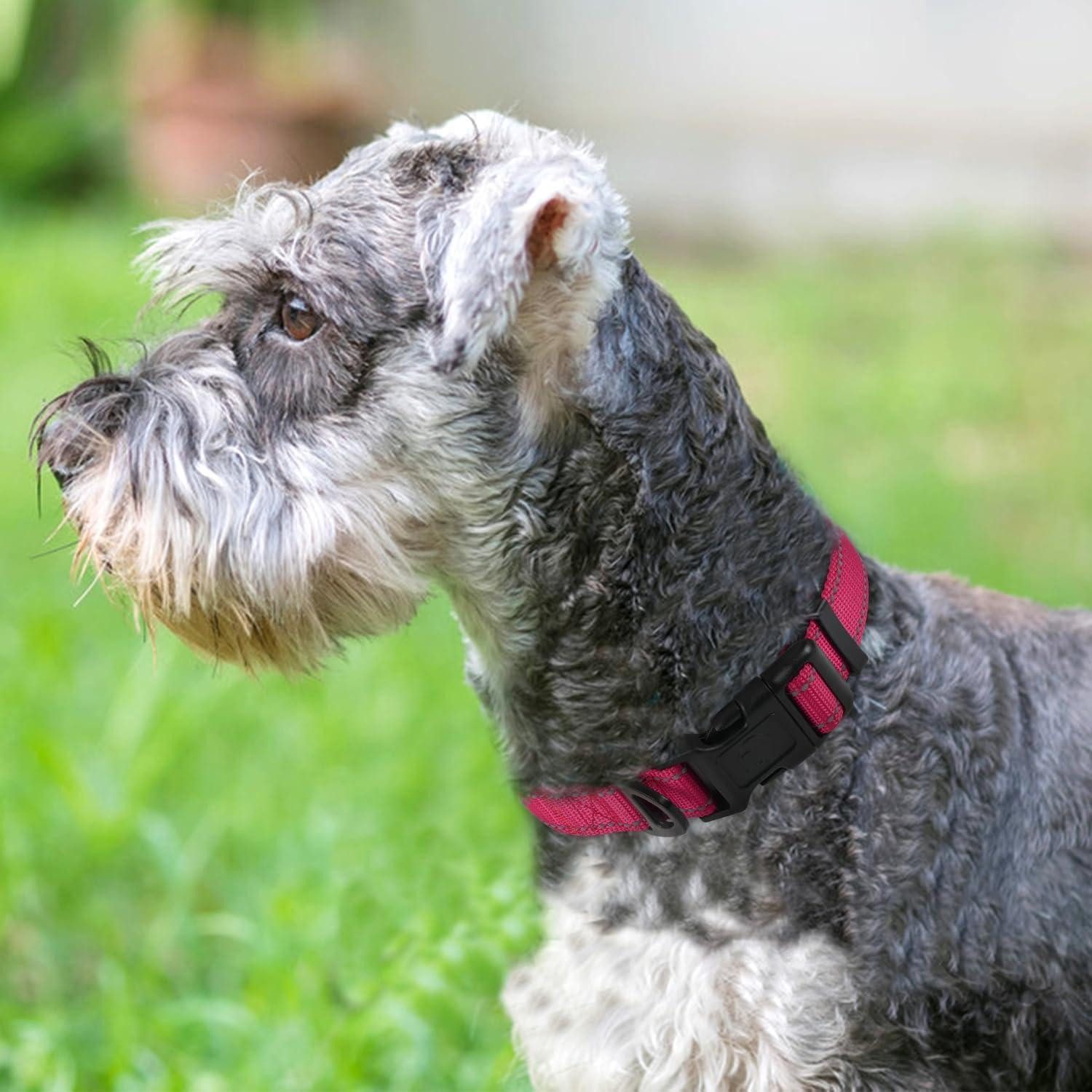 LuxusKollektion Hunde-Halsband Hundehalsband Gepolstert Neopren Verstellbar S (1er Pack) Rosa