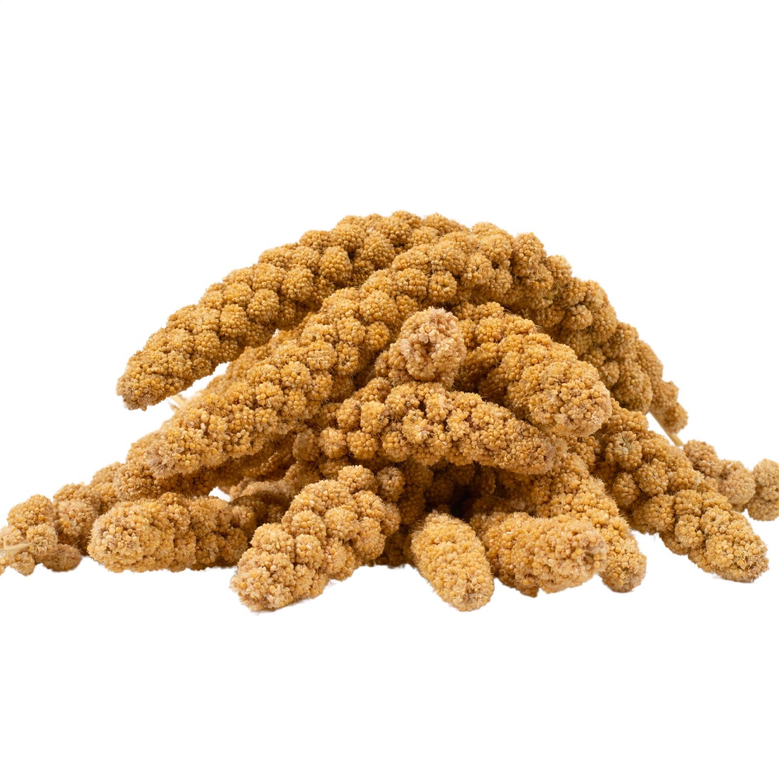 Lyra Pet 5 kg Lyra Pet® Kolbenhirse gelb, für: Wildvogel, Haus- und Nutztie günstig online kaufen