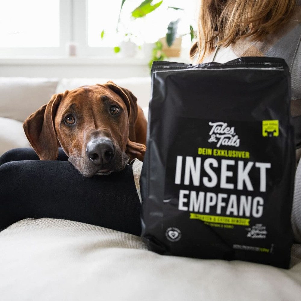 Tales & Tails Softtrockenfutter Exklusiver InSektempfang, Trockenfutter für: Hunde