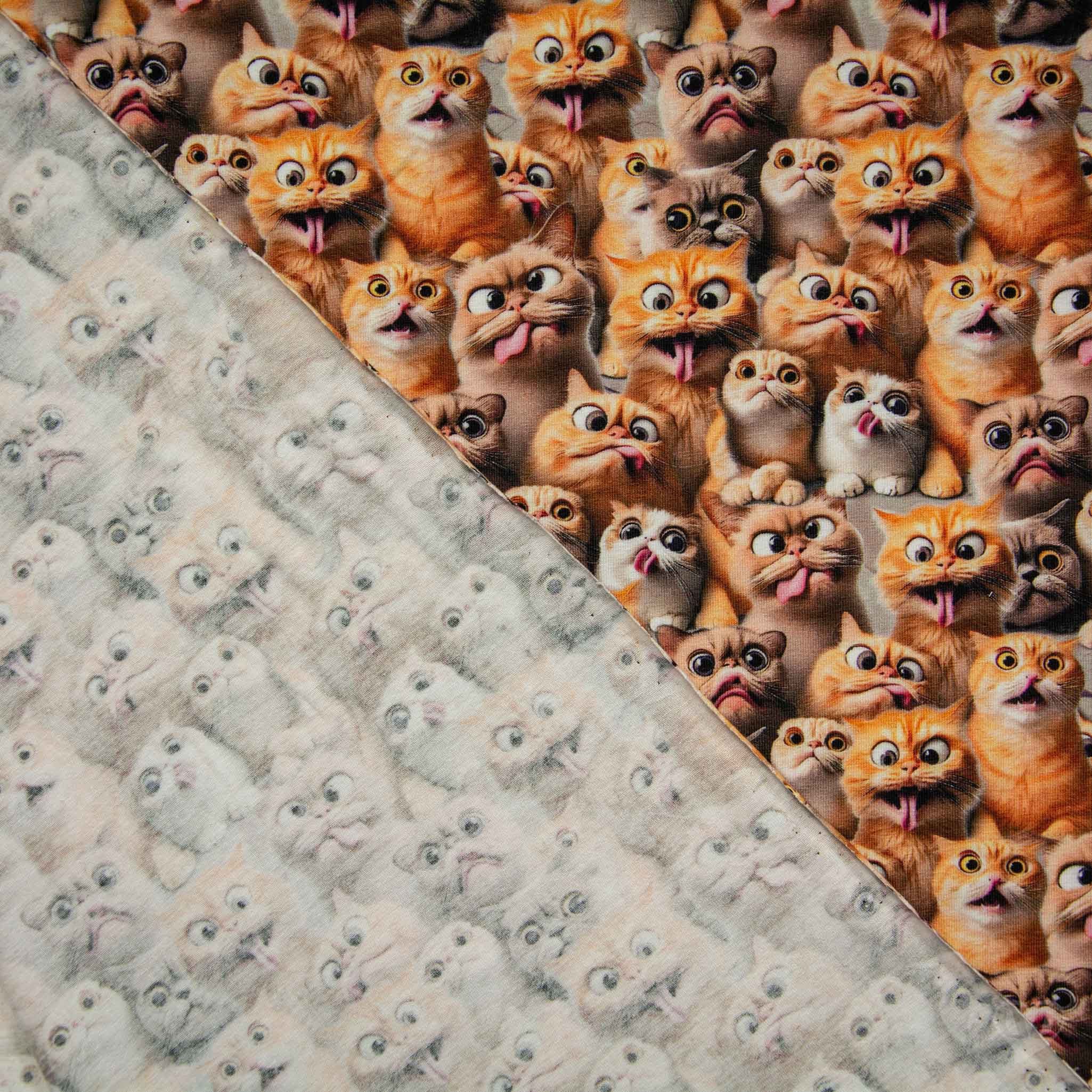 maDDma Stoff Baumwolljersey Funny Cats Print Kinderstoff Meterware 150cm breit – Bild 4 von 5