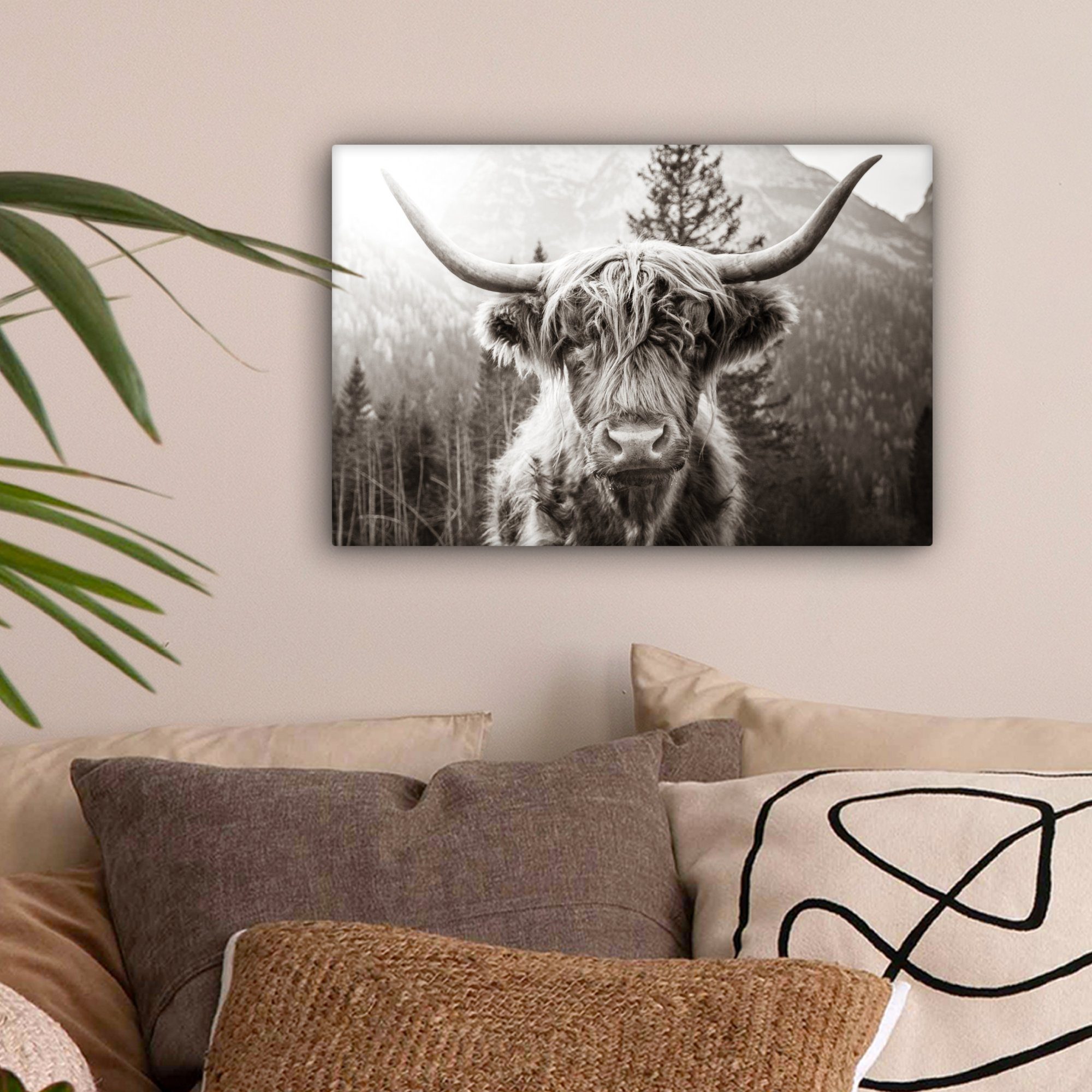 OneMillionCanvasses® Leinwandbild Schottischer Highlander - Kuh günstig online kaufen