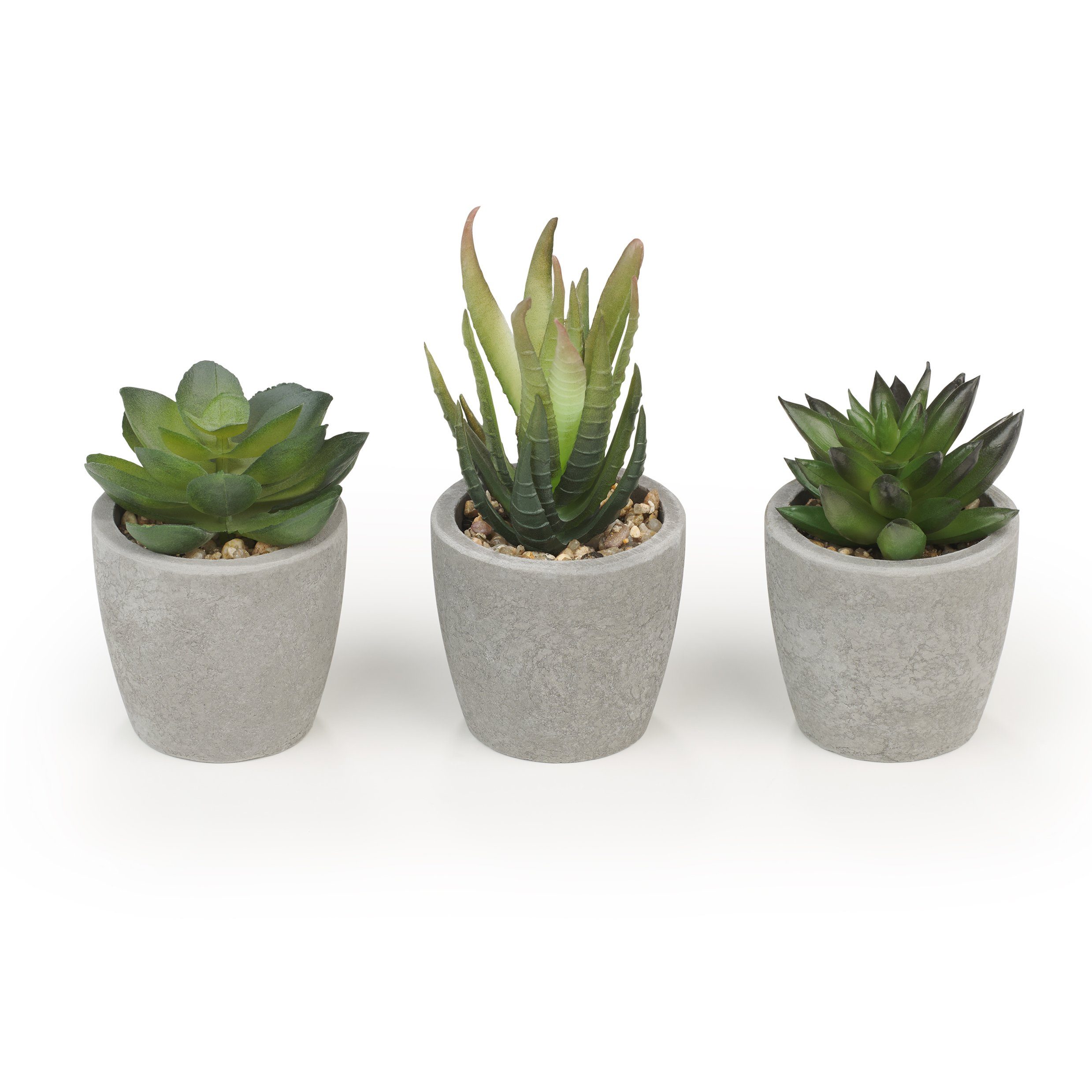 Kunstpflanze Dekorationspflanzen künstliche Sukkulenten mit weißem oder grauem Topf Sukkulente, Blumtal, künstliche Zimmerpflanzen, Set bestehend aus 3 Pflanzen. Reduzierter Preis € 11,99. Unverbindliche Preisempfehlung € 31,99