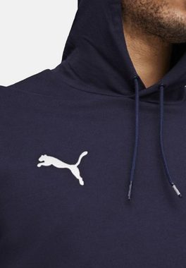 PUMA Hoodie teamGOAL Casuals Hoody Jr