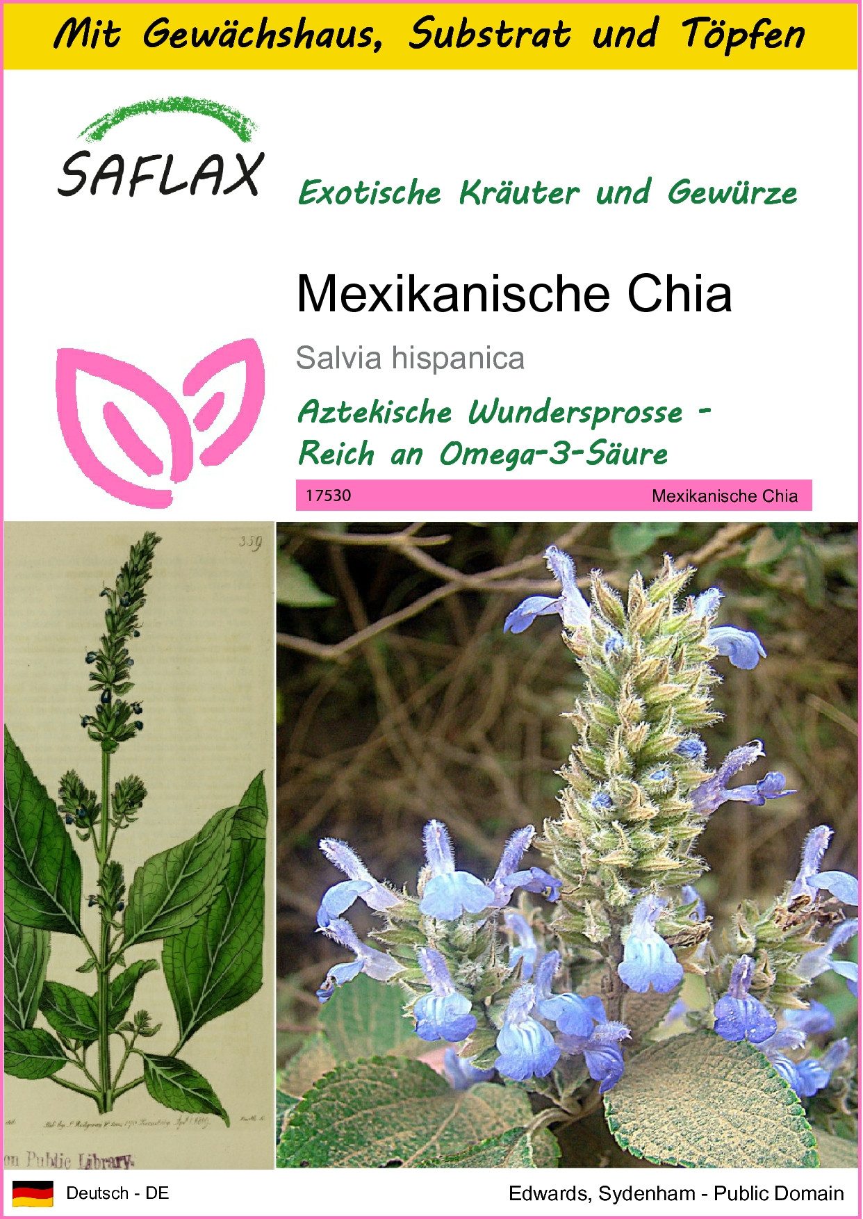 SAFLAX Kräutersamen SAFLAX - Anzuchtset - Mexikanische Chia
