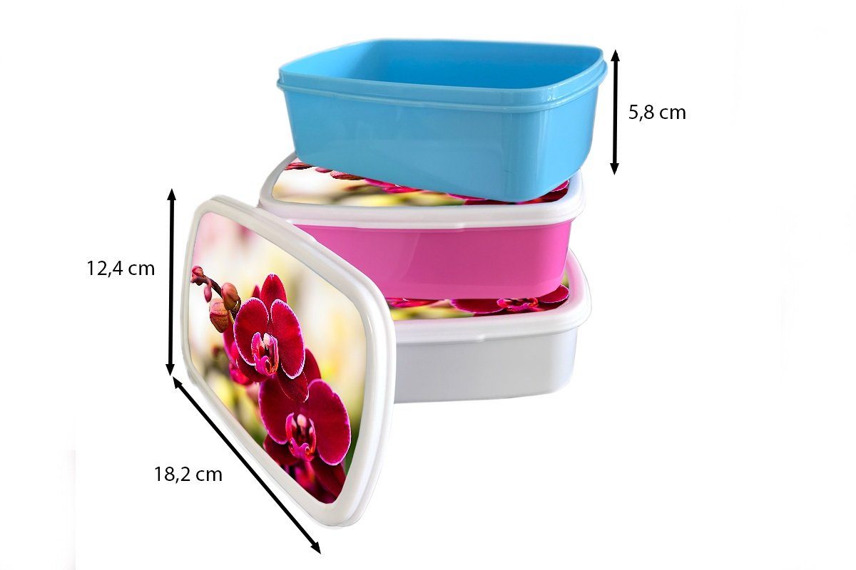 MuchoWow Lunchbox Nahaufnahme von (2-tlg), für Kinder vor Mädchen Erwachsene, Brotbox unscharfen einem Hintergrund, Kunststoff, Brotdose, und und roten für Jungs weiß Orchideen