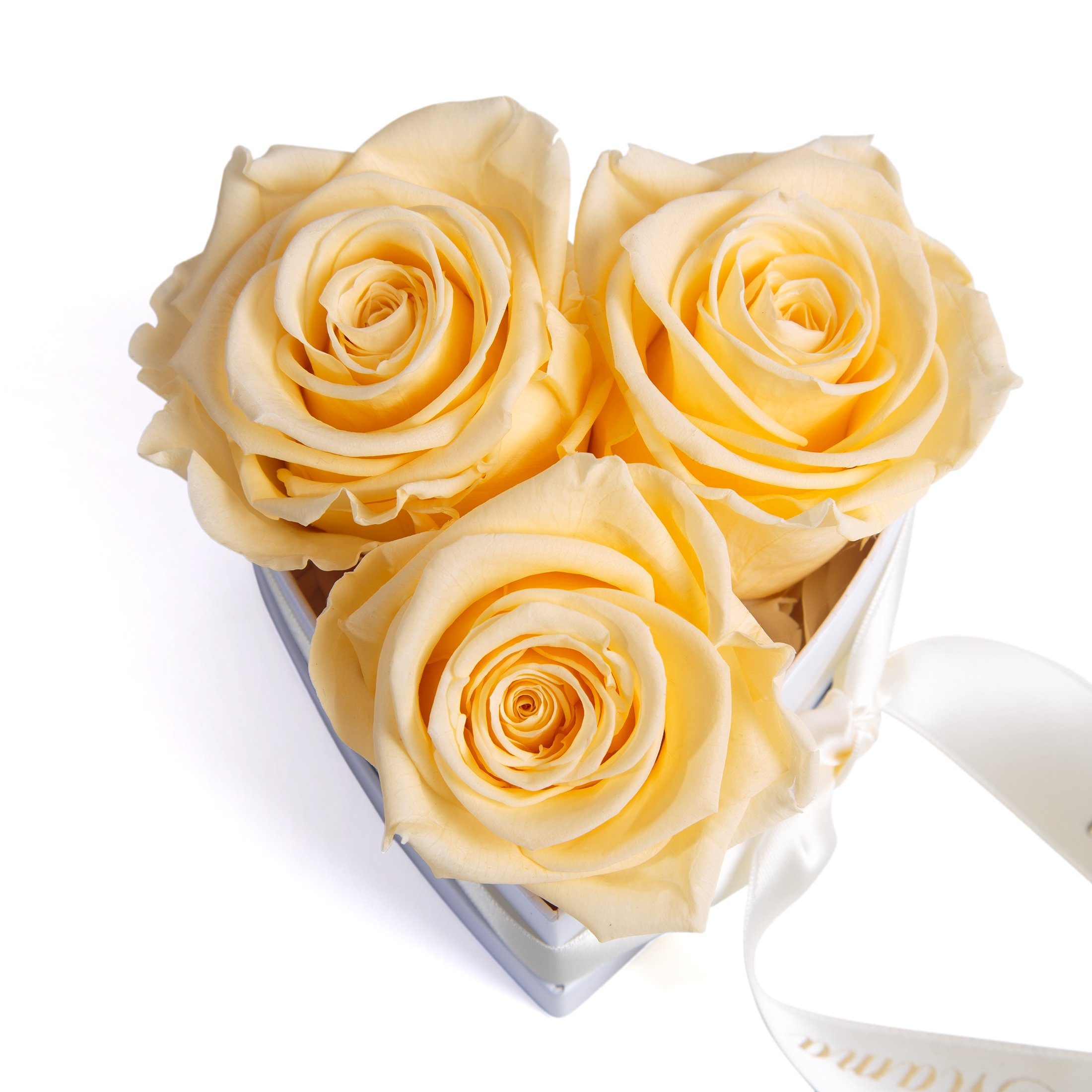 Kunstblume Rosenbox echte cm, Champagner ROSEMARIE Höhe der Beste Rosen Herz SCHULZ 3 Infinity Heidelberg, Welt für die Mama haltbar Blumen Geschenk 3 Rose, Jahre 10