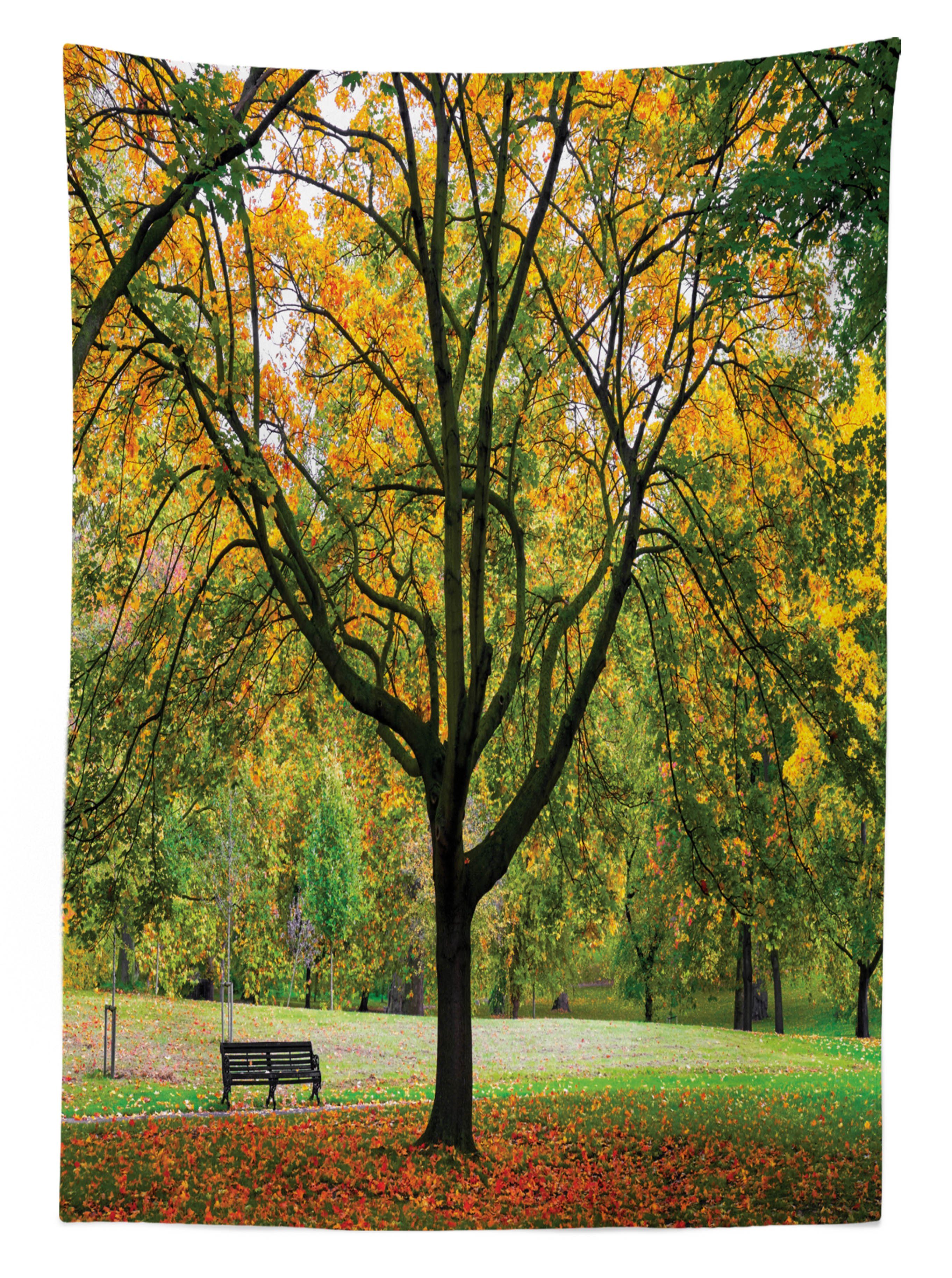 Fallen Blätter Farben, Herbst-Park Außen Abakuhaus geeignet Waschbar Farbfest Für Bereich Natur den Klare Tischdecke