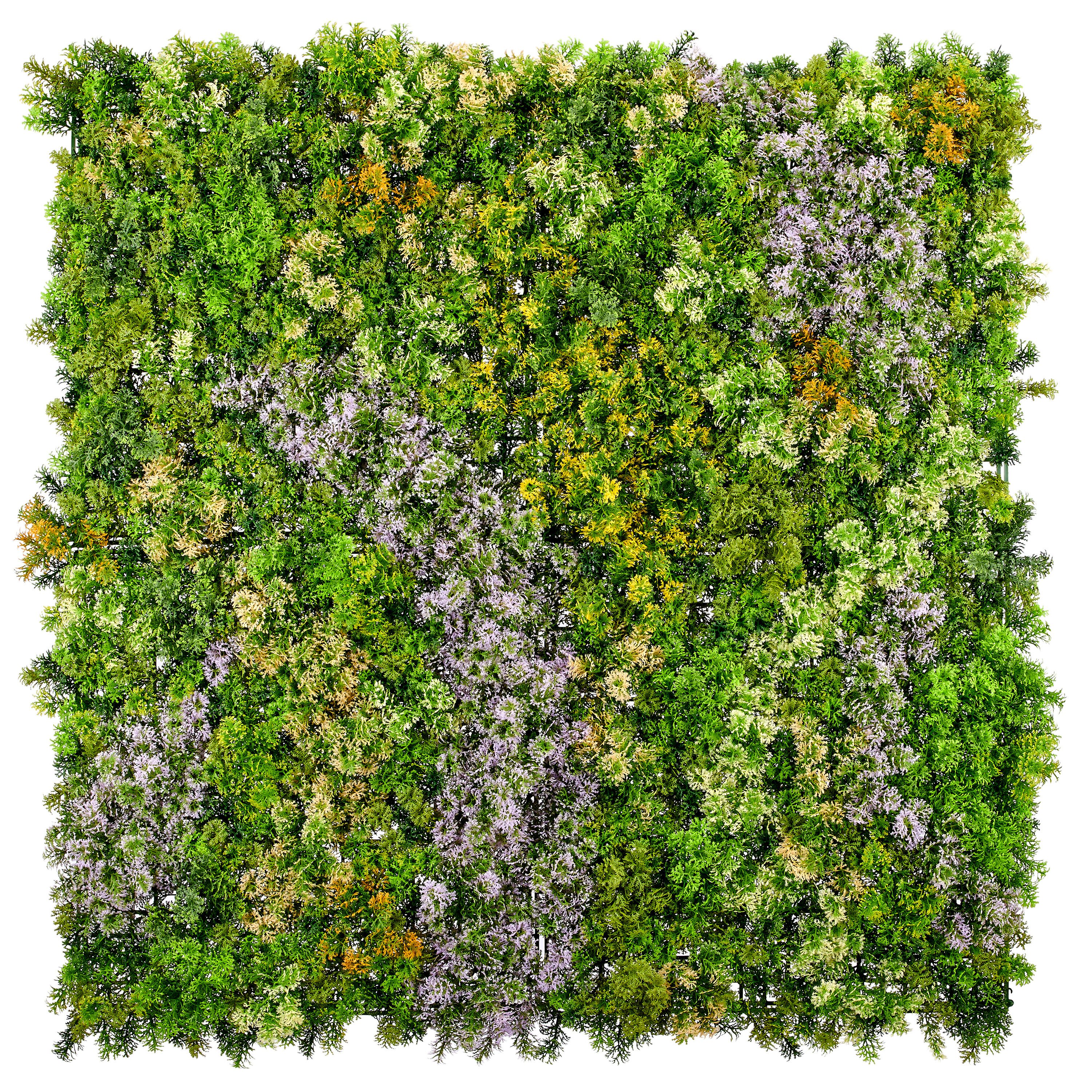 Kunstpflanze Wandmatte Selaginella-Mix, Creativ green, Höhe 100 cm, in UV-beständiger Ausführung
