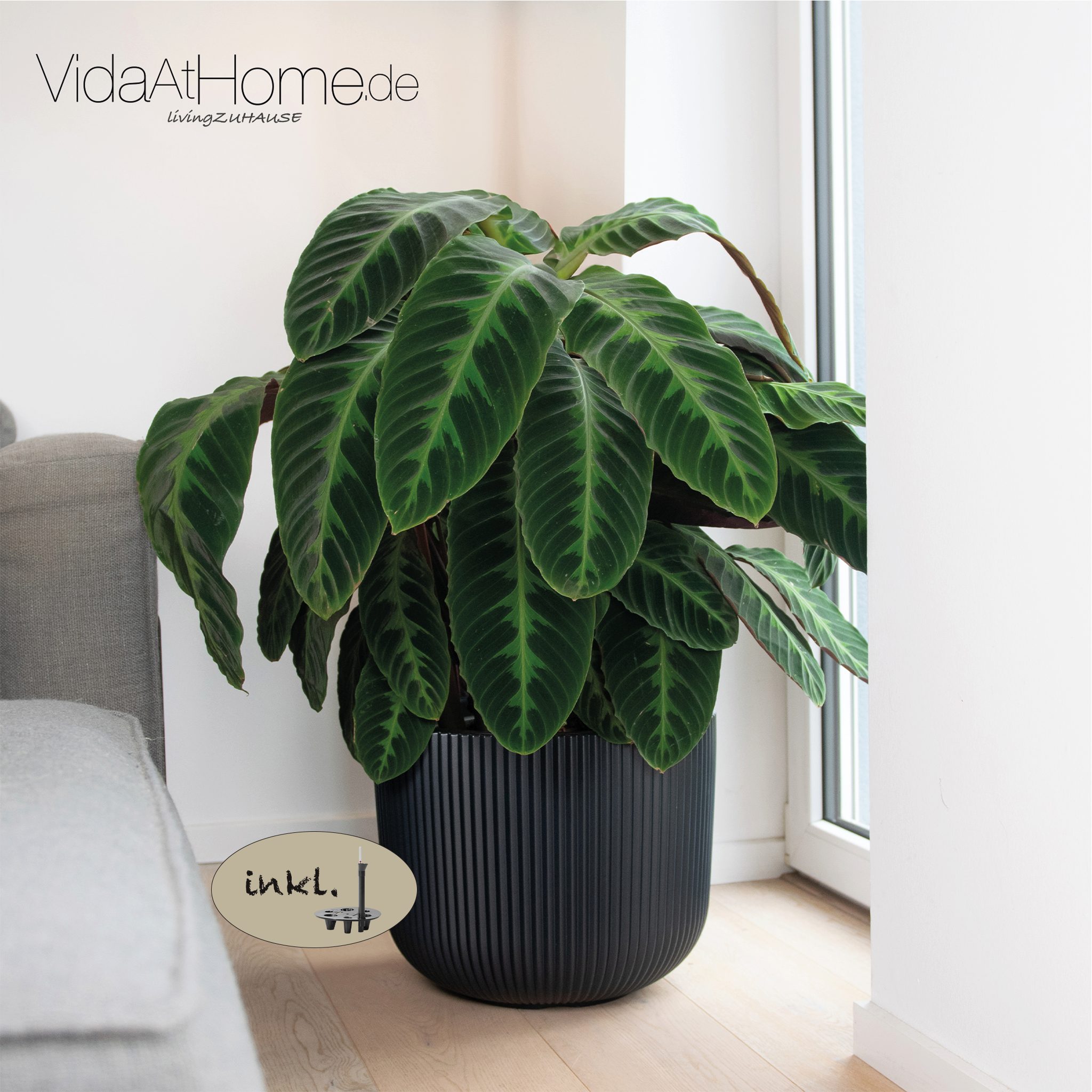 VidaAtHome.de Blumentopf Design-Pflanztopf CYRA ø 40er mit Bewässerungseins günstig online kaufen