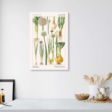 Posterlounge Acrylglasbild Elizabeth Rice, Zwiebeln und andere Lauchgemüse (englisch), Küche Modern Malerei
