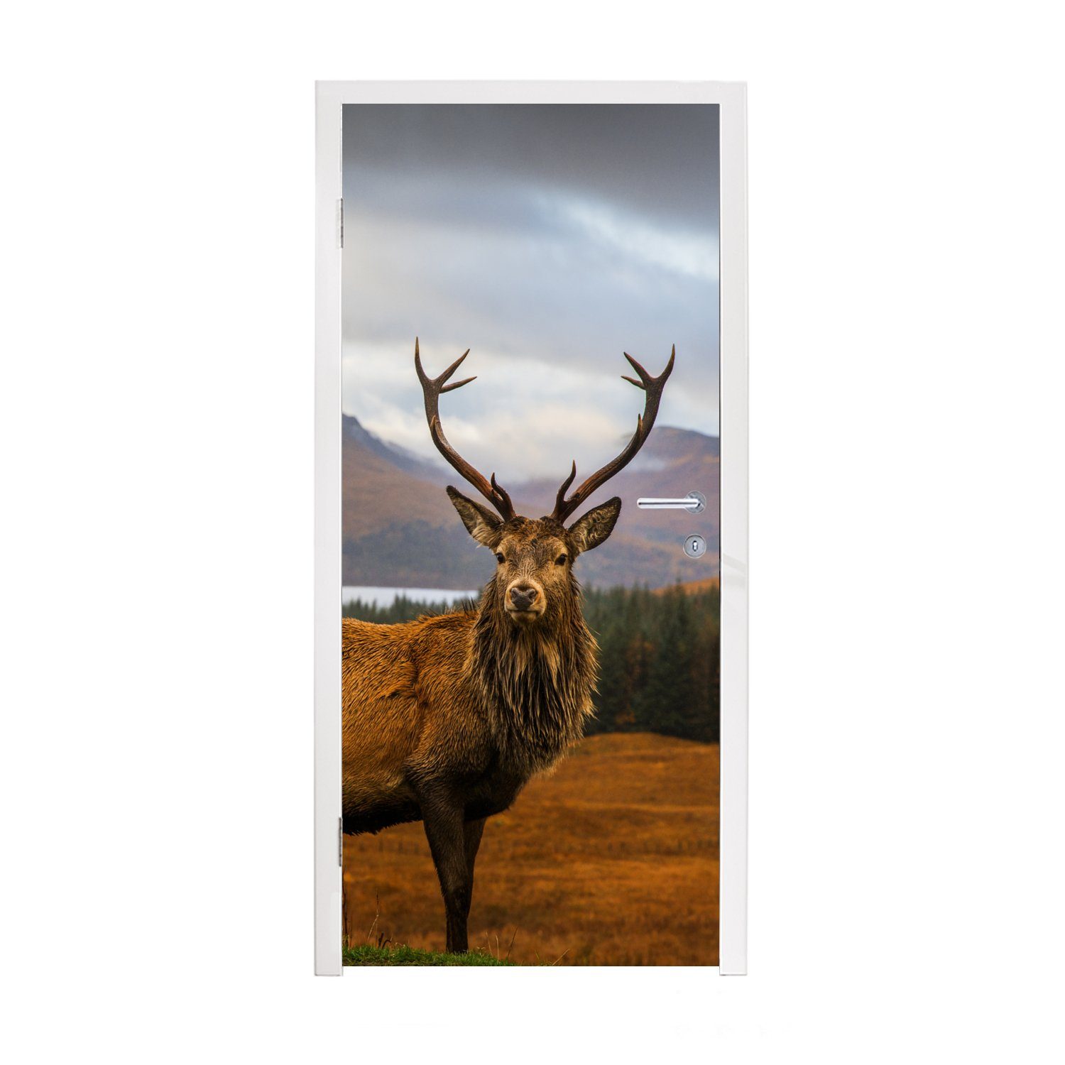 MuchoWow Türtapete Hirsche - Berge - Wasser - Landschaft - Tiere - Bäume, Matt, bedruckt, (1 St), Fototapete für Tür, Türaufkleber, 75x205 cm