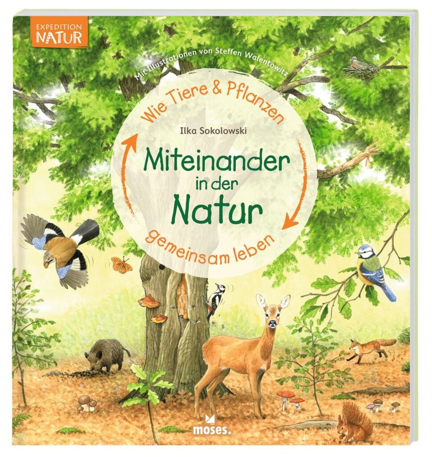 Miteinander in der Natur - Wie Tiere und Pflanzen gemeinsam leben / Ilka Sokolowski