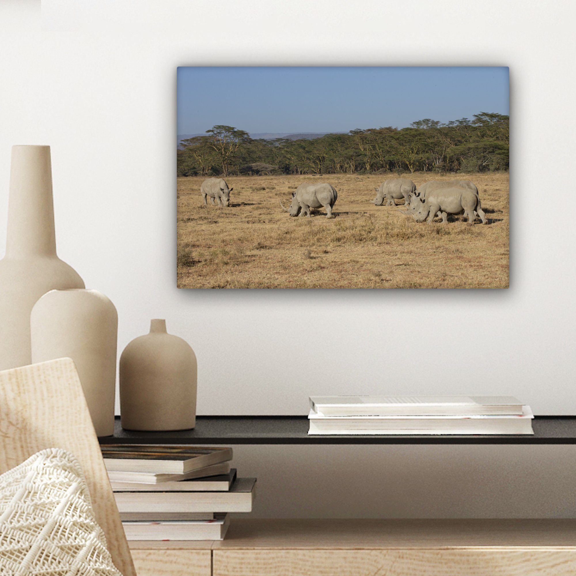 30x20 Leinwandbilder, (1 Weiden OneMillionCanvasses® - cm Wanddeko, Nashörner Wandbild St), Leinwandbild - Safari, Aufhängefertig,
