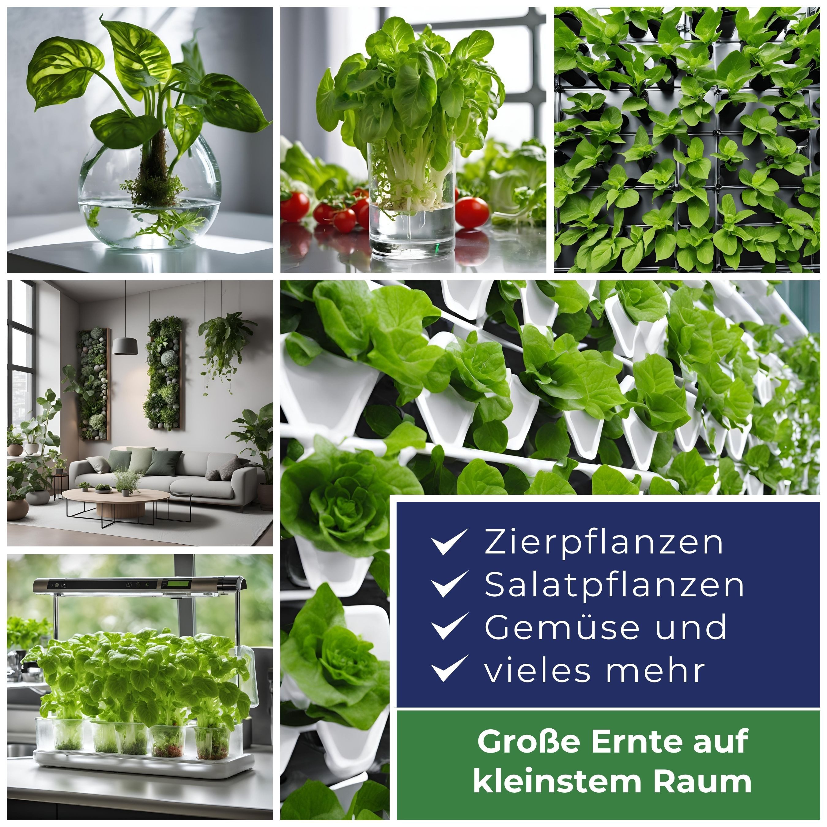 Blusana Pflanzendünger Hydroponik & Hydrokultur Dünger NPK 7-3-6 Flüssigdünger, mineralischer Volldünger flüssig, 1 Liter, für Zimmerpflanzen Obst & Gemüse geei – Bild 5 von 5