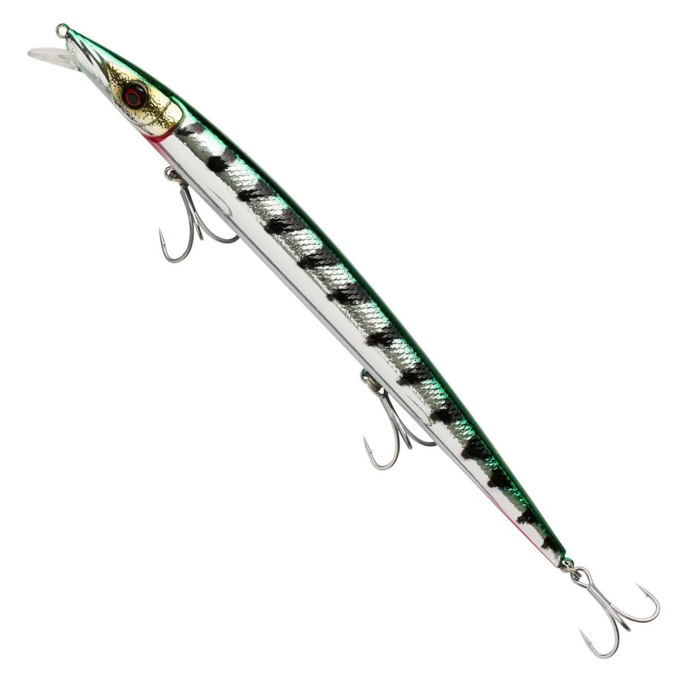 Green Barracuda