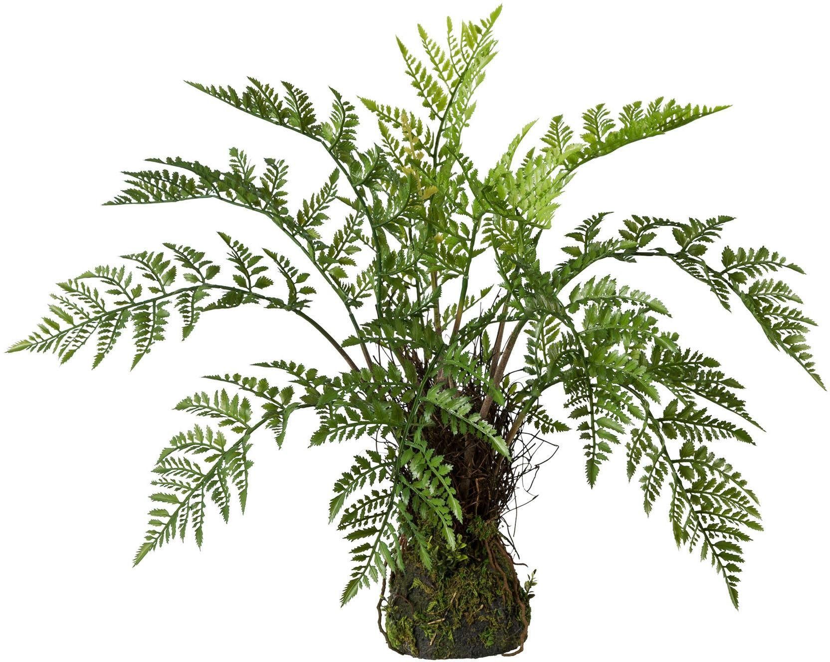 Kunstpflanze Farn, Creativ 50 green, Höhe cm