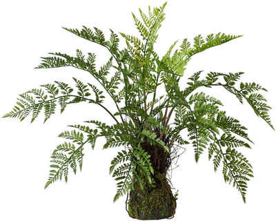 Kunstpflanze Farn, Creativ green, Höhe 50 cm