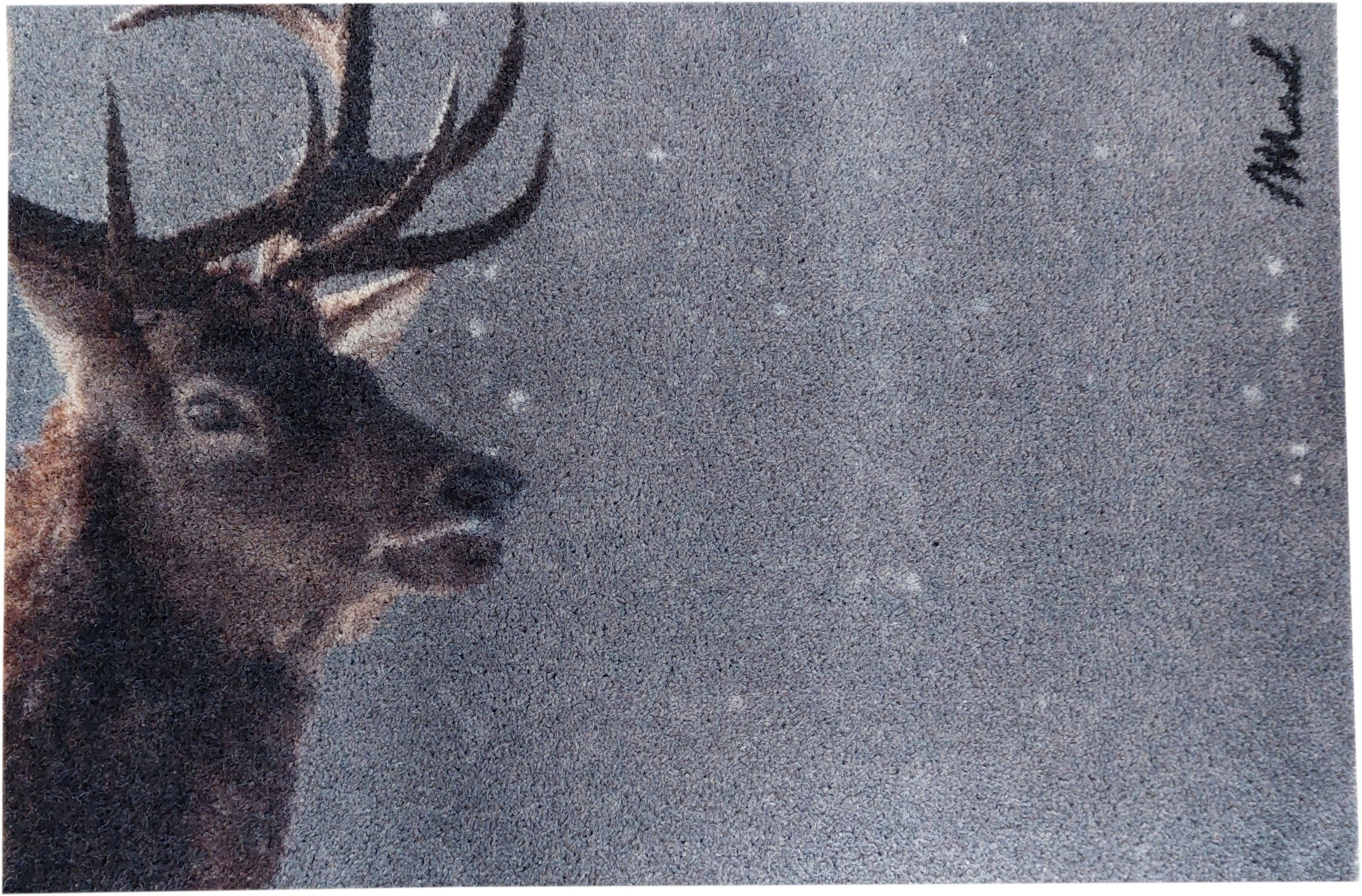 Mad about Mats Fußmatte Colt, Türvorleger, Schmutzfangmatte, Winter, Tiermo günstig online kaufen