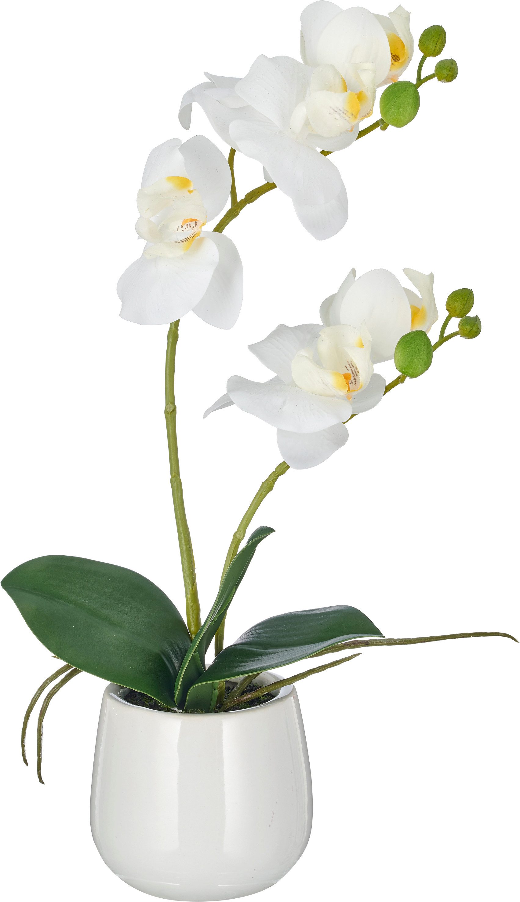 Kunstorchidee Phalaenopsis, Creativ green, Höhe 38 cm, mit Real-Touch-Blüten