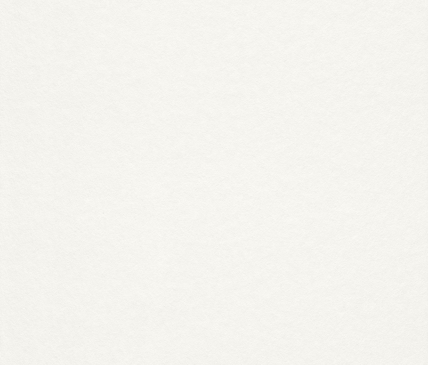 Rasch Vliestapete Makulaturvlies, geprägt, uni, (1 St)