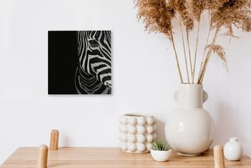 OneMillionCanvasses® Leinwandbild Tiere - Zebra - Schwarz - Weiß, (1 St), Leinwand Bilder für Wohnzimmer Schlafzimmer