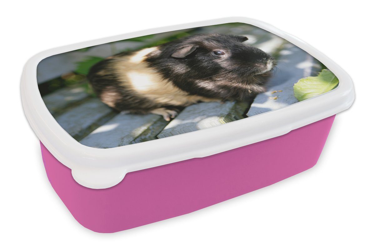 MuchoWow Lunchbox Meerschweinchen im Garten, Kunststoff, (2-tlg), Brotbox für Erwachsene, Brotdose Kinder, Snackbox, Mädchen, Kunststoff rosa