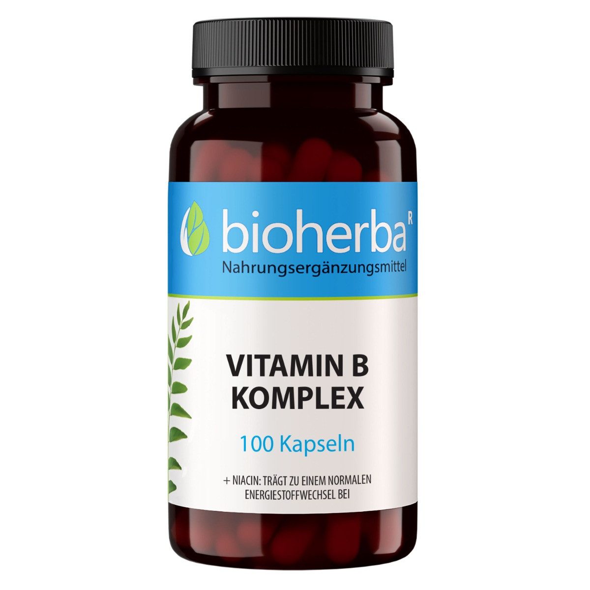 BIOHERBA R Bioherba Vitamin B Komplex 100 Kapseln Nahrungsergänzungsmittel, 1 er