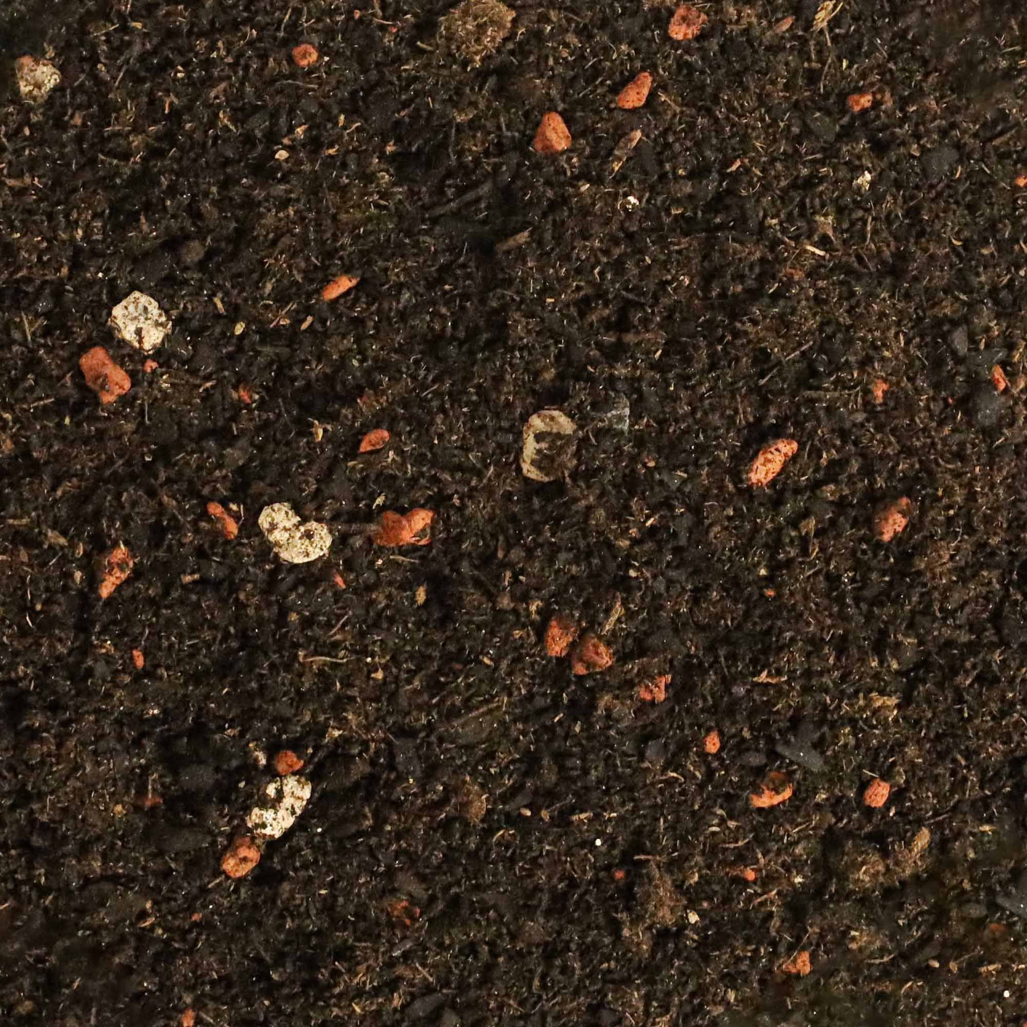 dr. Soil Bio-Erde Substrat für Bonsai, 1 liter beutel – Bild 2 von 5