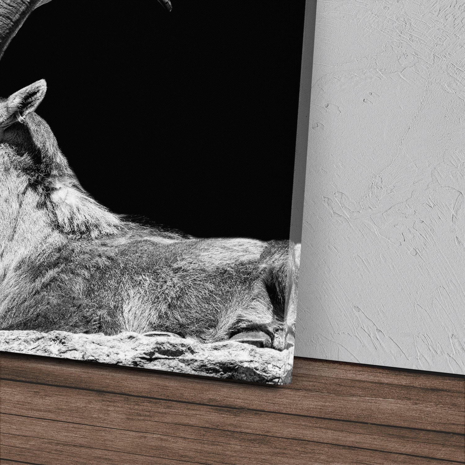 Sinus Art Leinwandbild 120x80cm Wandbild auf Leinwand Steinbock Tierfotografie schwarzer Hint, (1 St) – Bild 2 von 5